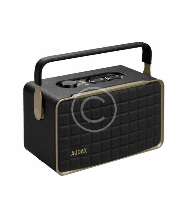 Portable wireless speaker