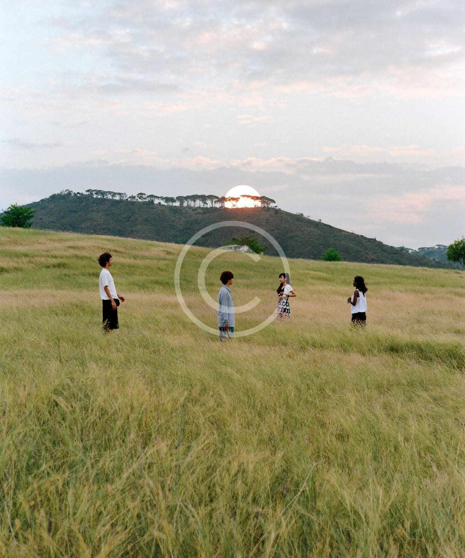 Sunset field band poster